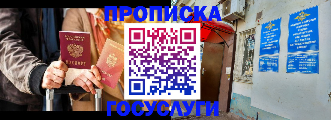 прописка гарантия в Жукове